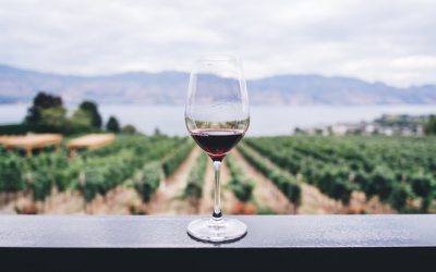 Views of the Valley: A Tour of Fairsing Vineyard